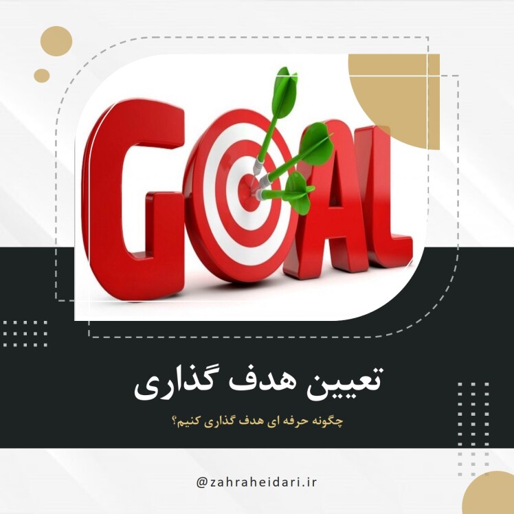 چگونه حرفه ای هدف گذاری کنیم؟